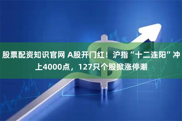 股票配资知识官网 A股开门红！沪指“十二连阳”冲上4000点，127只个股掀涨停潮