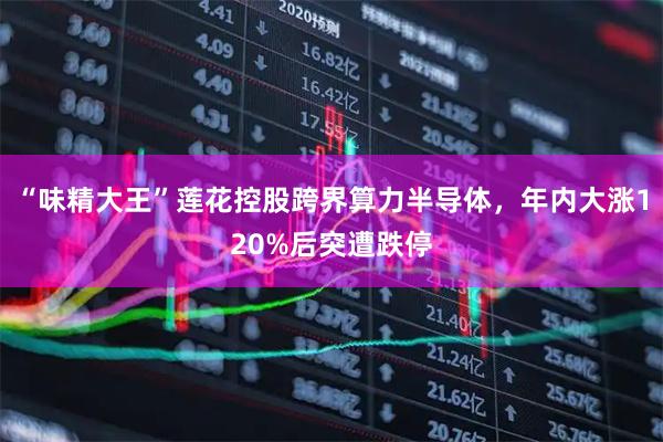 “味精大王”莲花控股跨界算力半导体，年内大涨120%后突遭跌停