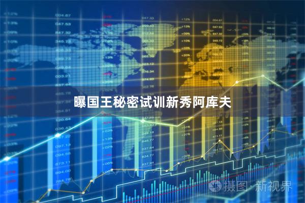 曝国王秘密试训新秀阿库夫